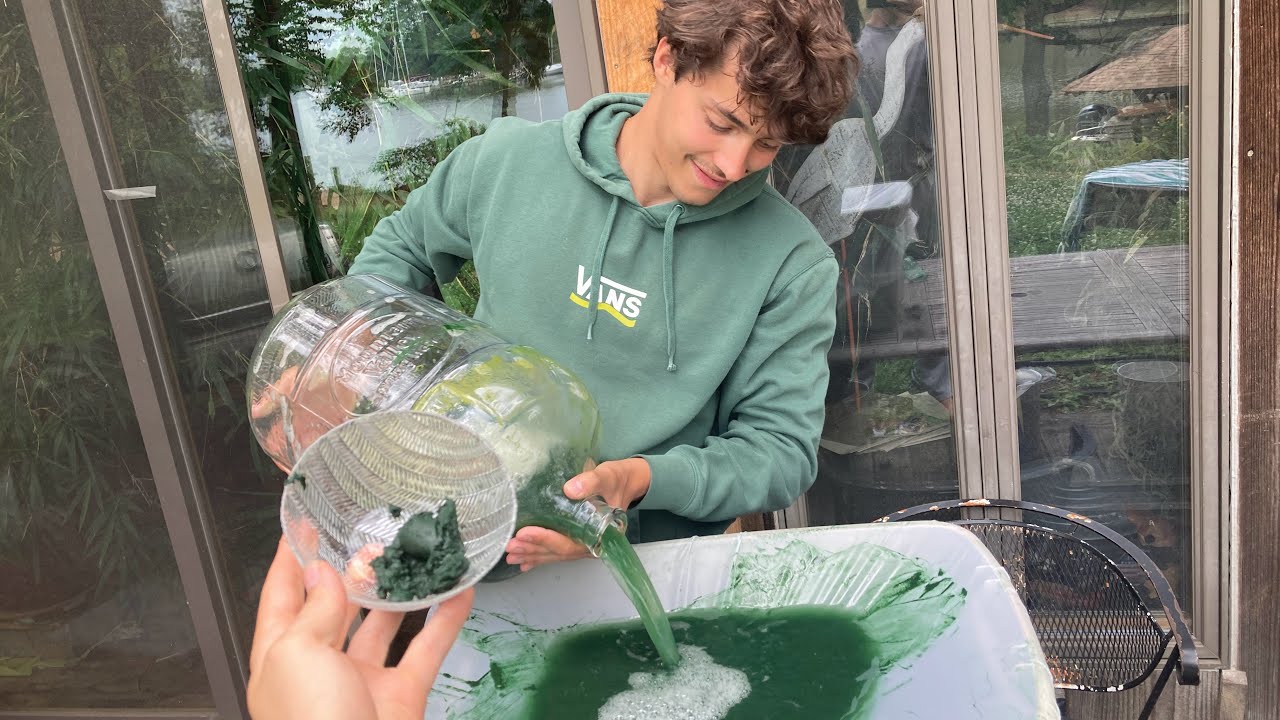 How to expand and harvest your spirulina culture