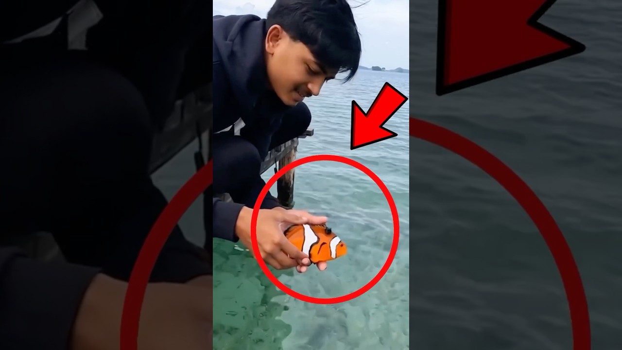 Под водой это запечатлела камера для съёмки рыбы! 😱