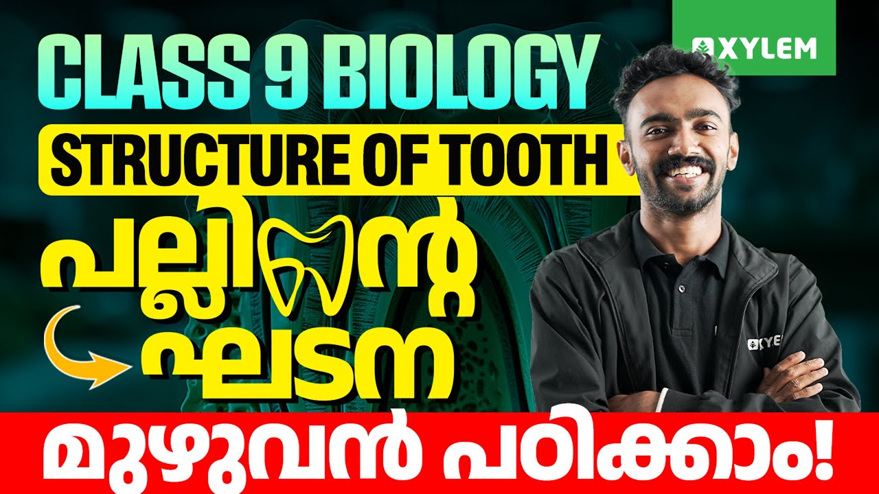 Class 9 Biology | Structure of Tooth / പല്ലിന്റെ ഘടനമുഴുവൻ പഠിക്കാം | Xylem Class 9
