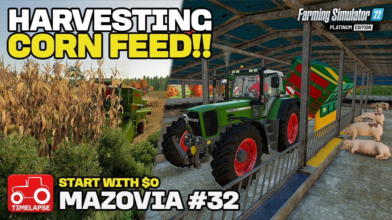 HARVESTING CORN FOR PIGS!! (Mazovia Start With $0) FS22 Timelapse # 32
