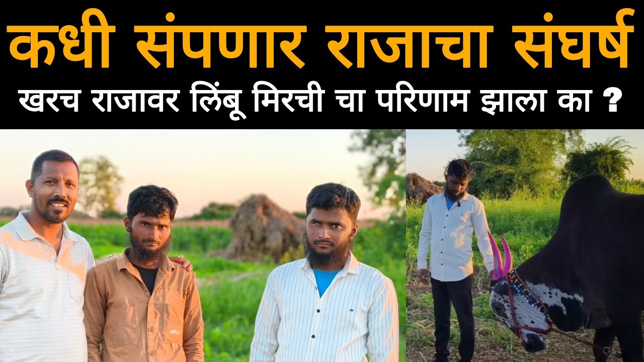कधी संपणार राजाचा संघर्ष | खरंच राजावर लिंबू मिरचीचा परिणाम झाला का ?