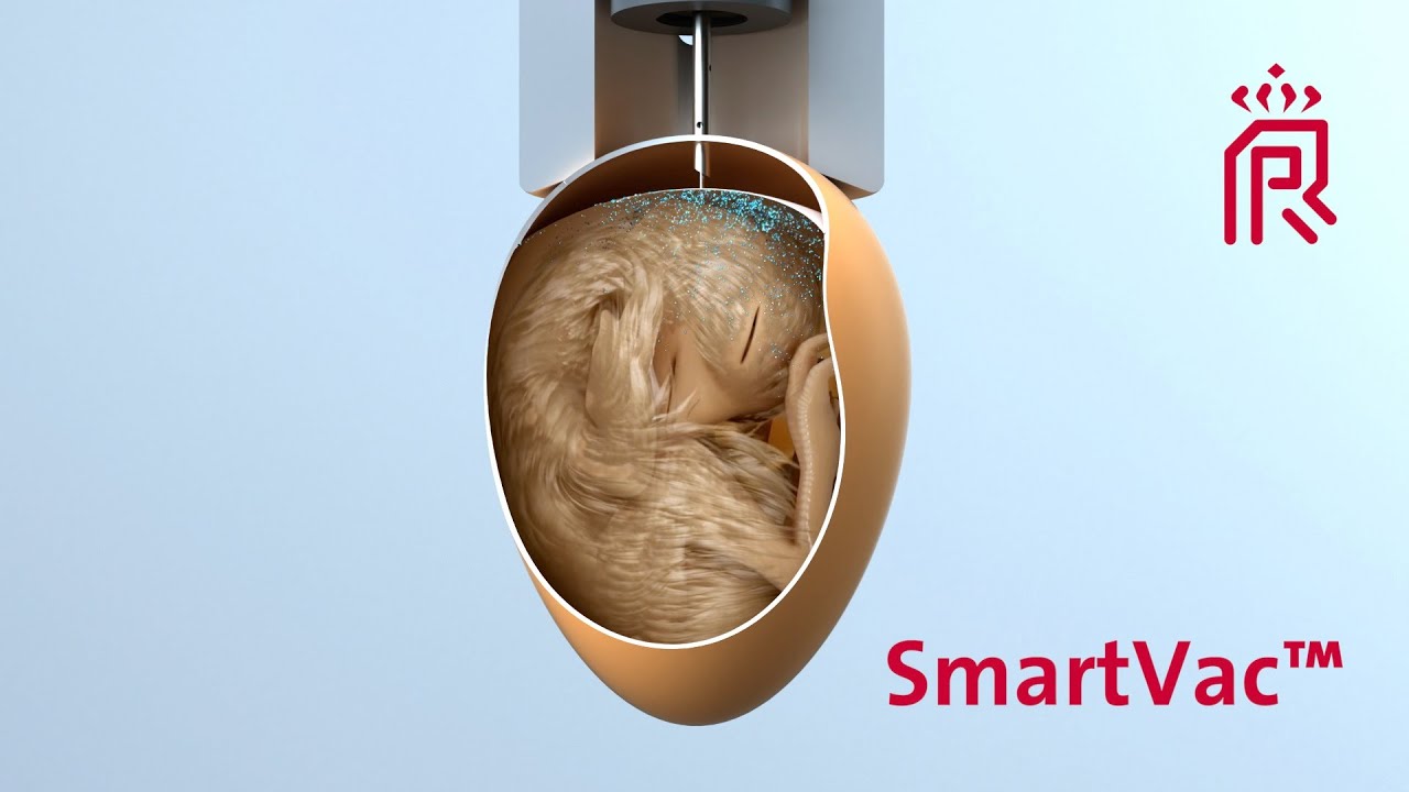 SmartVac In-ovo vaccination and nutrition