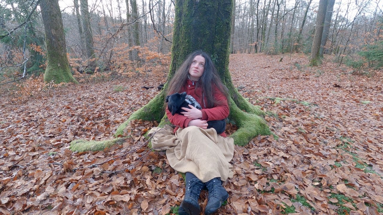 I rejected a Ton of Money for this (twice) - Living with the Trees in a Camper