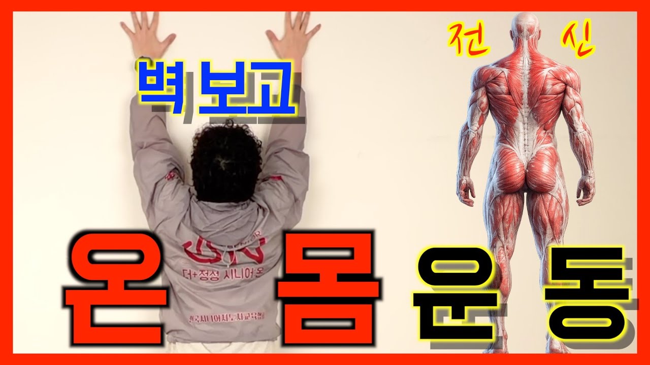 [운동] 벽을 활용한 온 몸 운동법 알려드립니다