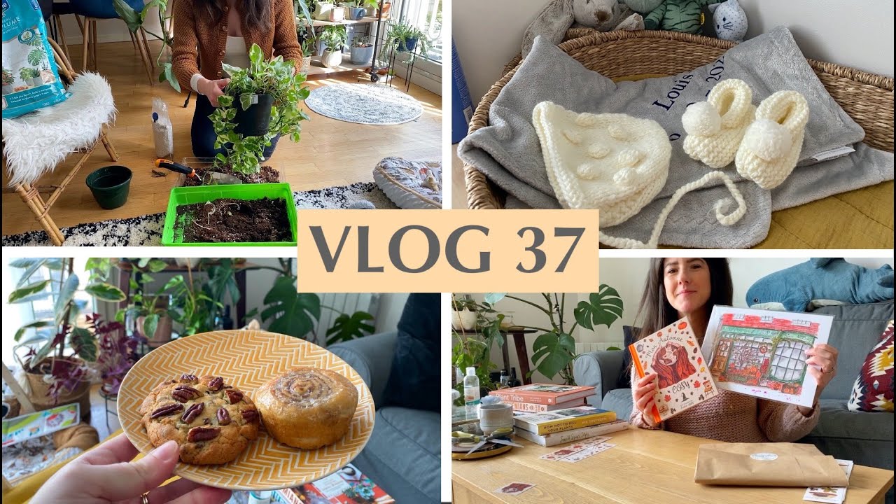 Rempotage de Pothos, Unboxing Lecture & Illustration, Tri avant déménagement - VLOG 37