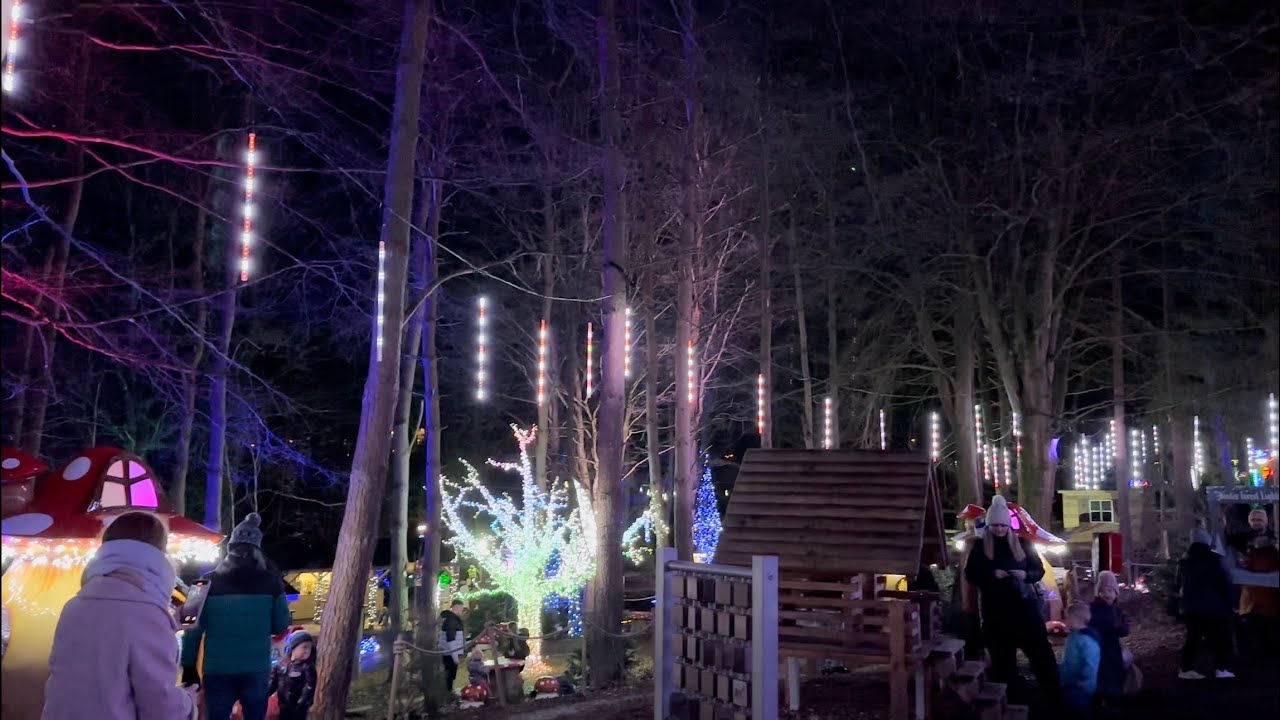 Winter Forest Lights at Center Parcs, Whinfell Forest - 10 January 2024