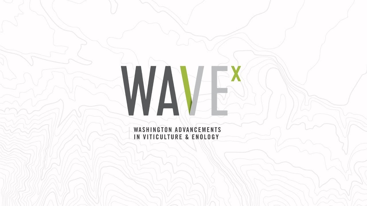 WAVEx Webinar | Irrigation Research Discoveries