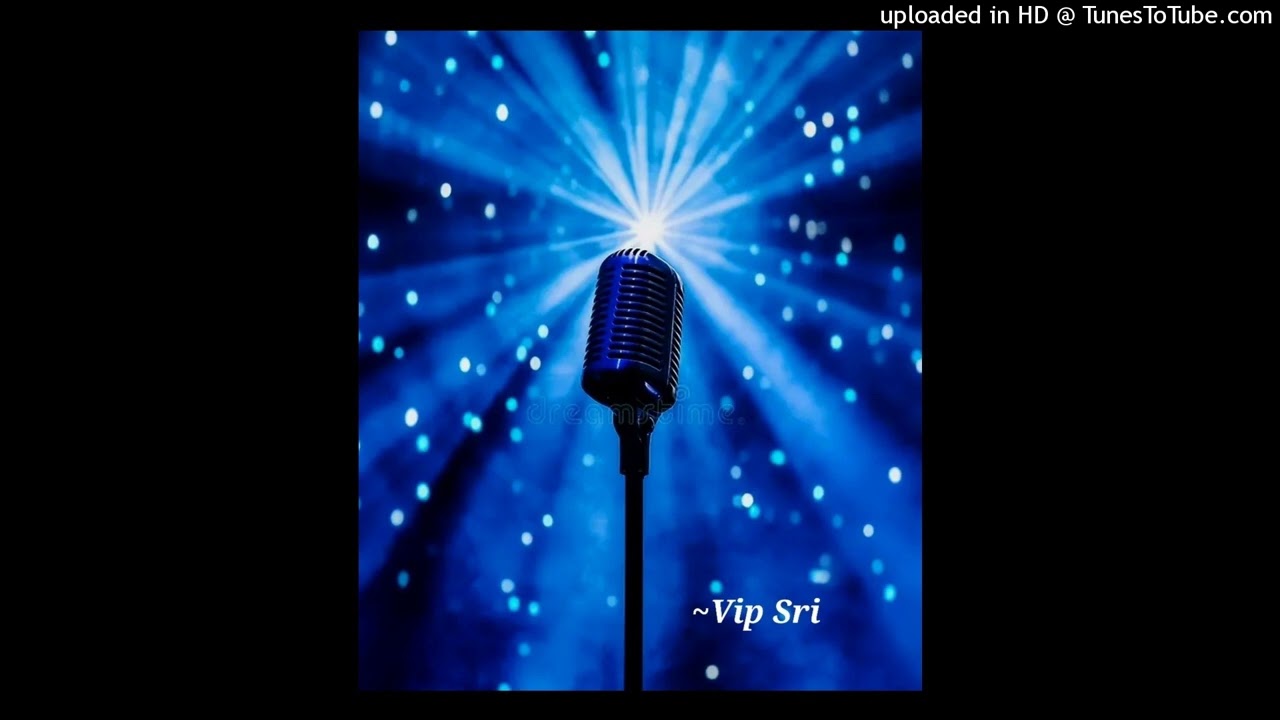 Meri pyari si song| cover by vip sri