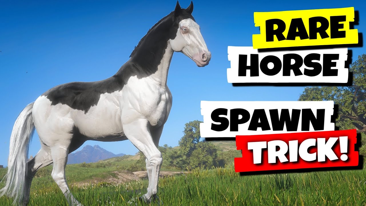 RARE Horse SECRET Trick in RDR2 (Splashed White American Paint)