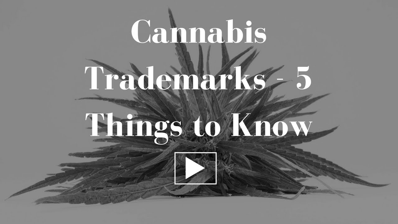How to Get a Marijuana Trademark: 5 Things You Need to Know