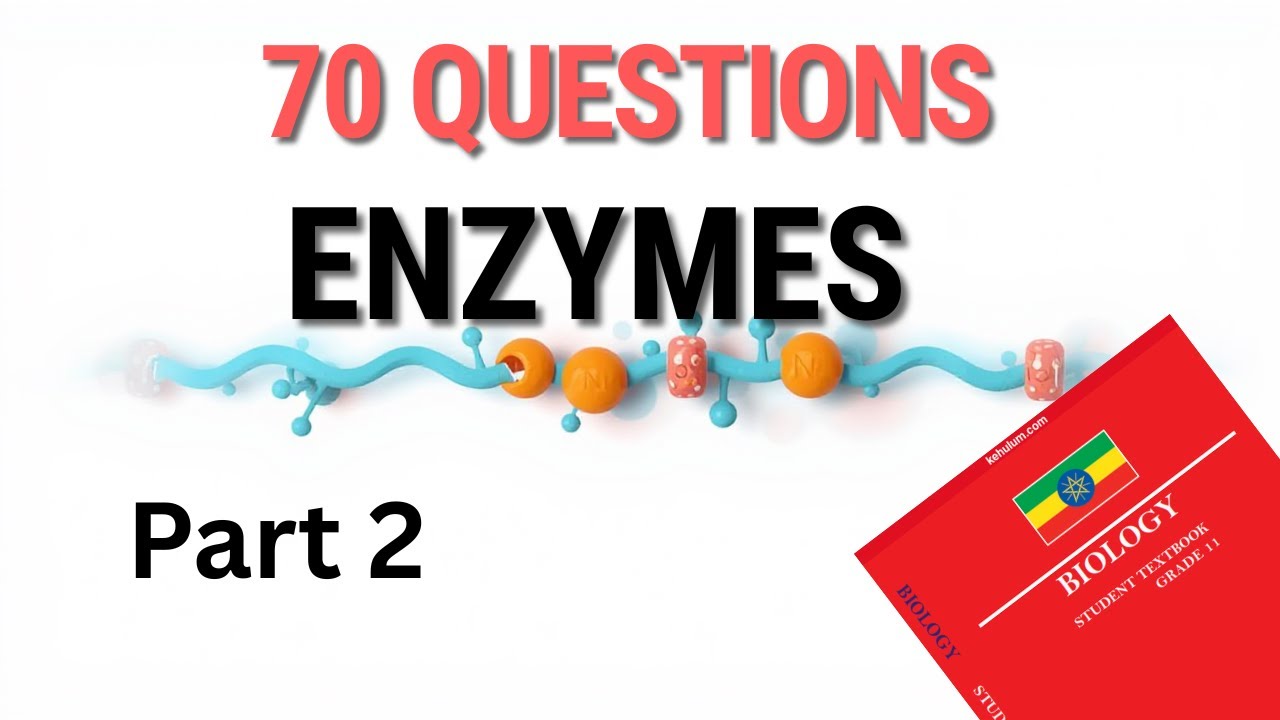 Enzymes – 70 Important Biology Questions & Answers | Grade 11–12 Exam Practice