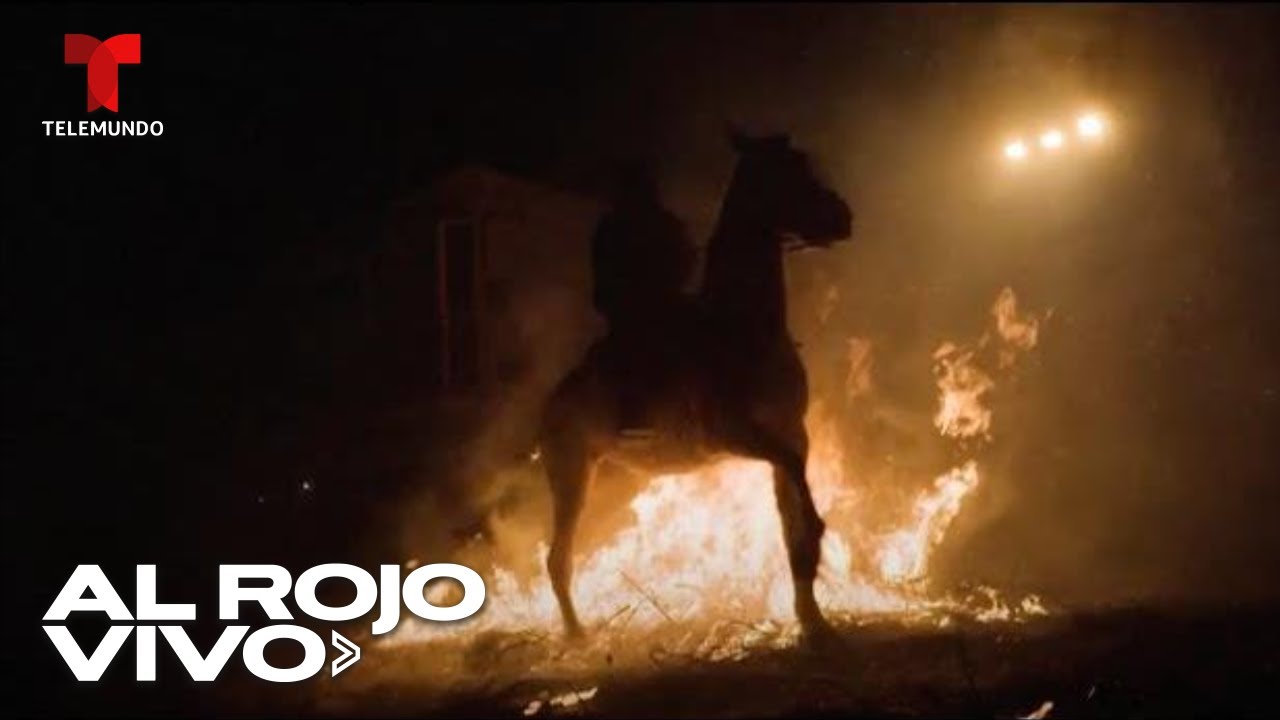 Celebración anual de las Luminarias de San Antonio Abad, el patrono de los animales | Al Rojo Vivo