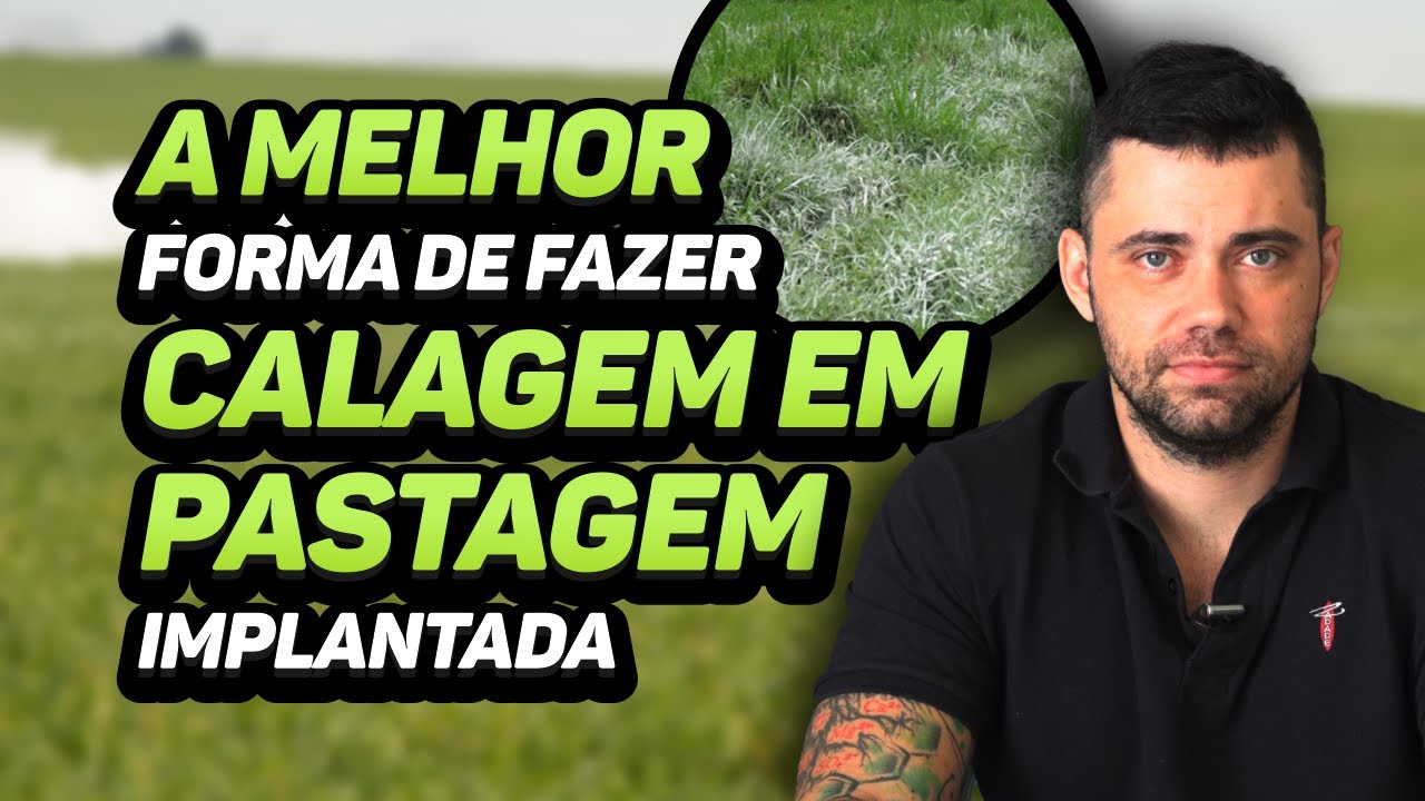 COMO FAZER CALAGEM EM PASTO IMPLANTADO?