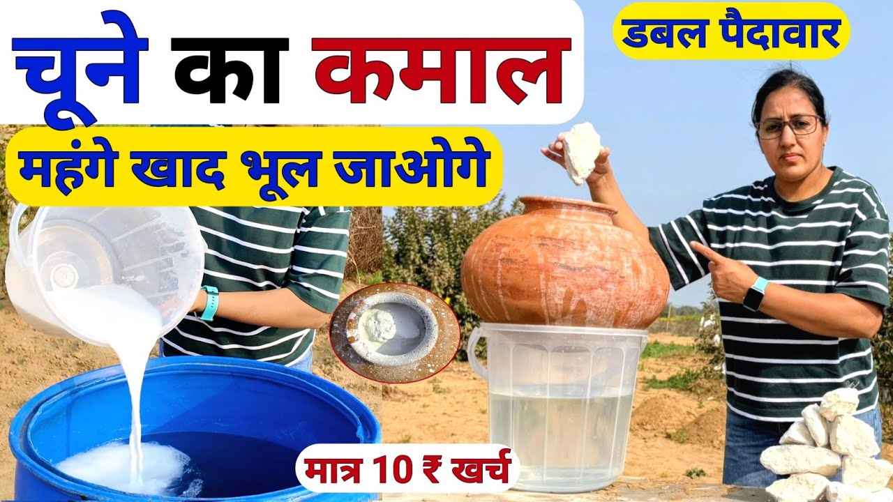 खेती में सफेद पत्थर का कमाल | Lime uses in agriculture | kheti me chune ka upyog | Glucon-D ka spray
