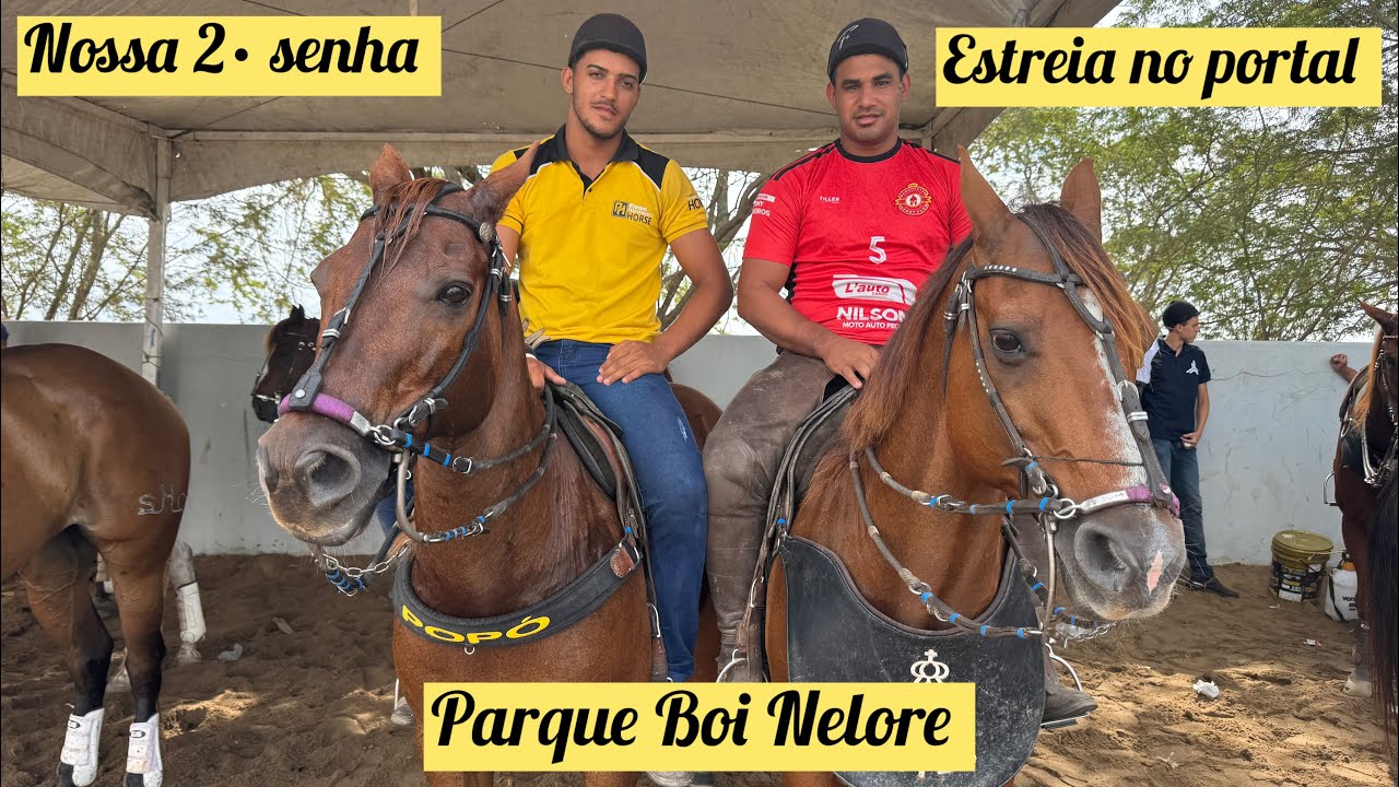 NOSSA 2• SENHA NA ESTREIA DO PORTAL TEMPORADA 2026