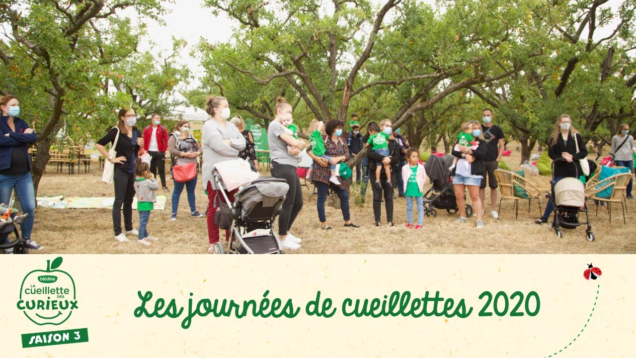 La Cueillette des curieux qu'est-ce que c'est ? | La Cueillette des curieux  2020