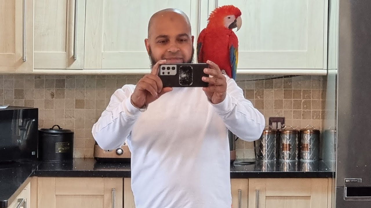 My Macaw Stays out in my garden
