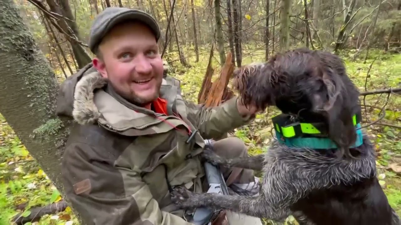 UHC 014 hazel grouse hunting