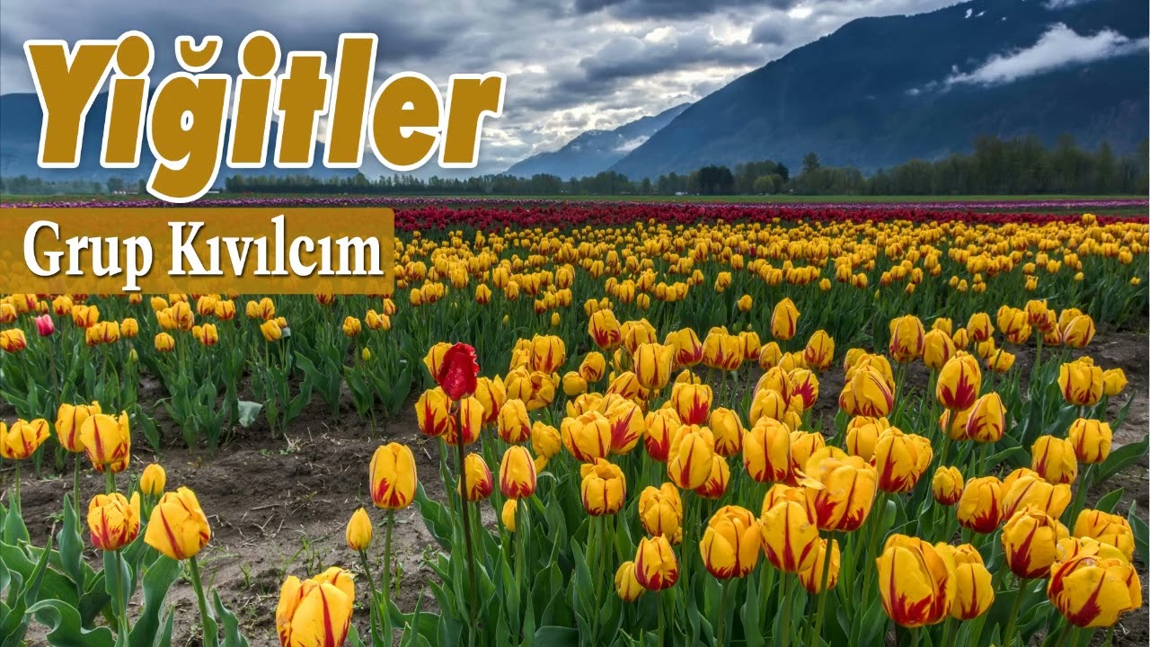 Yiğitler - Grup Kıvılcım