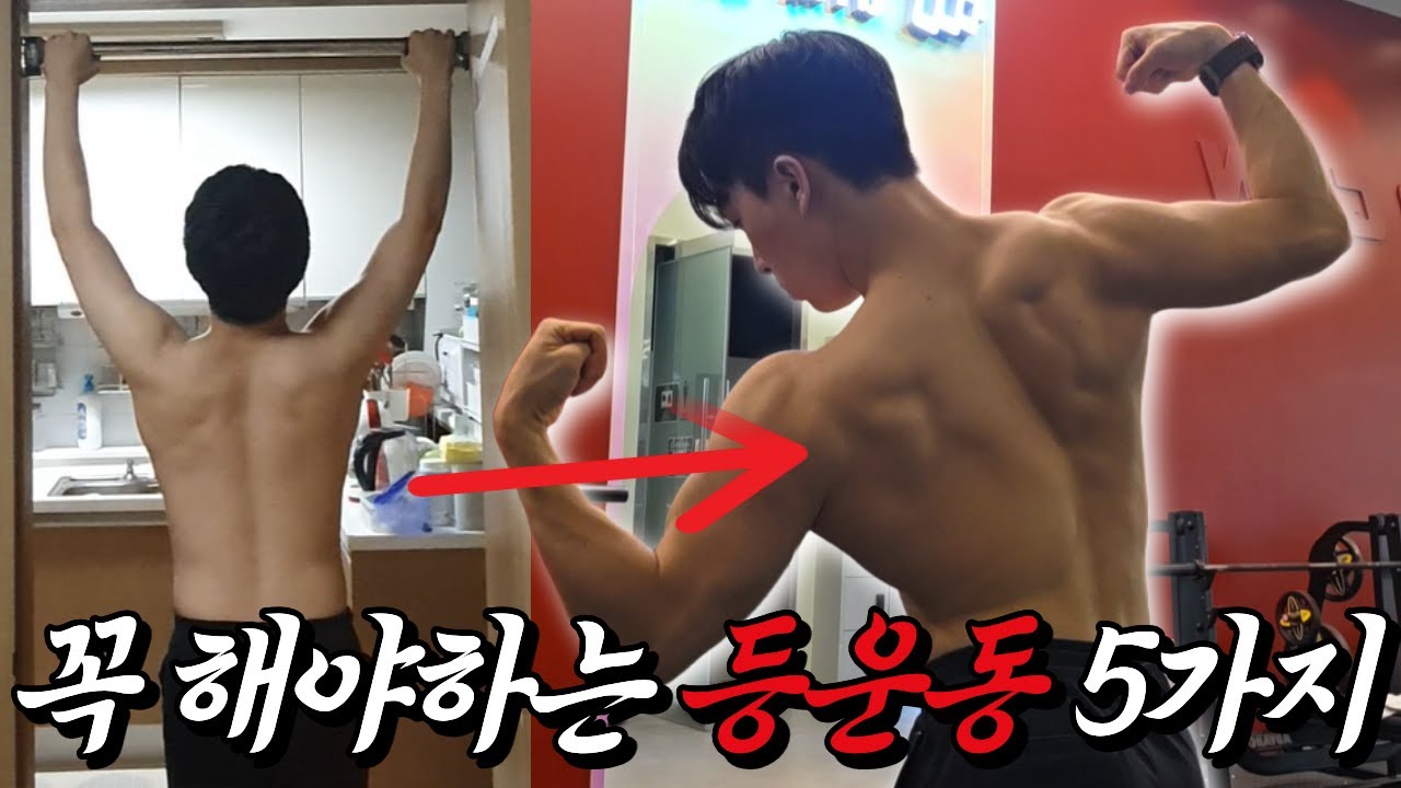 당기는 원리를 알아야 등이 넓어집니다