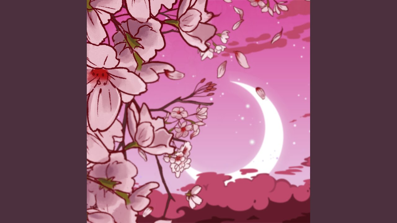 Cherry Blossoms