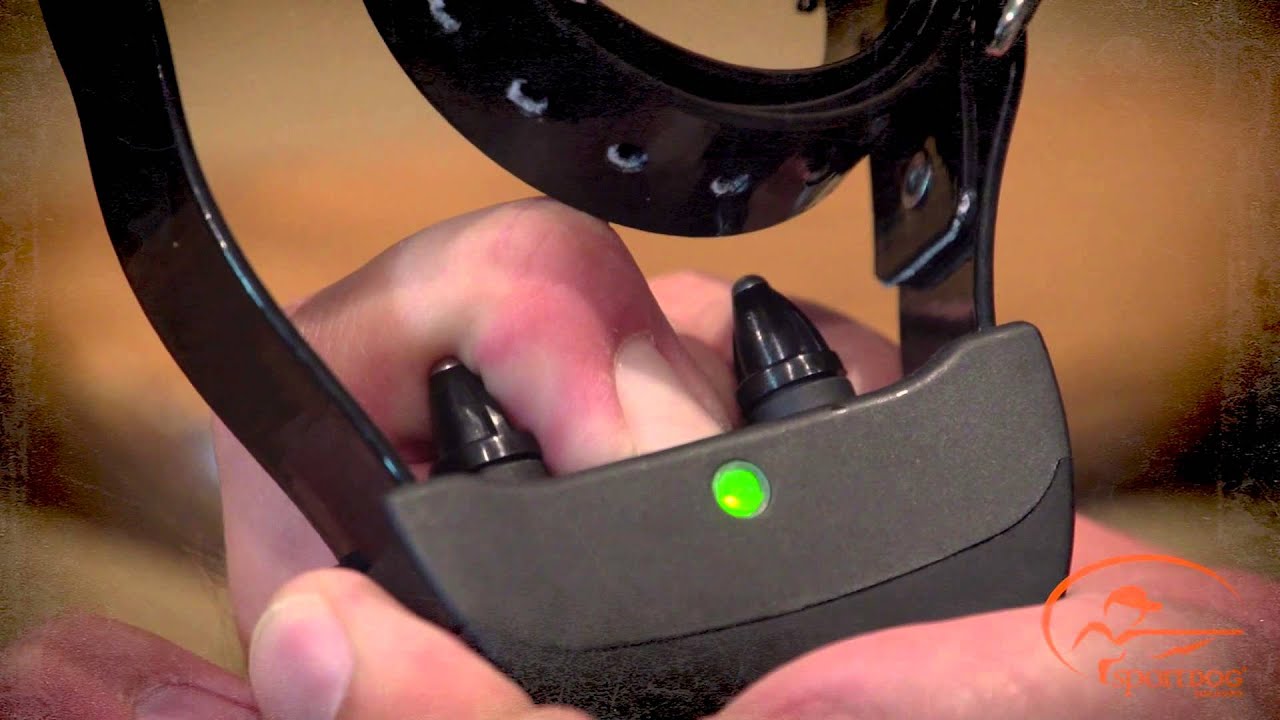 Matching the Collar Receiver to the Transmitter on Your SD-425