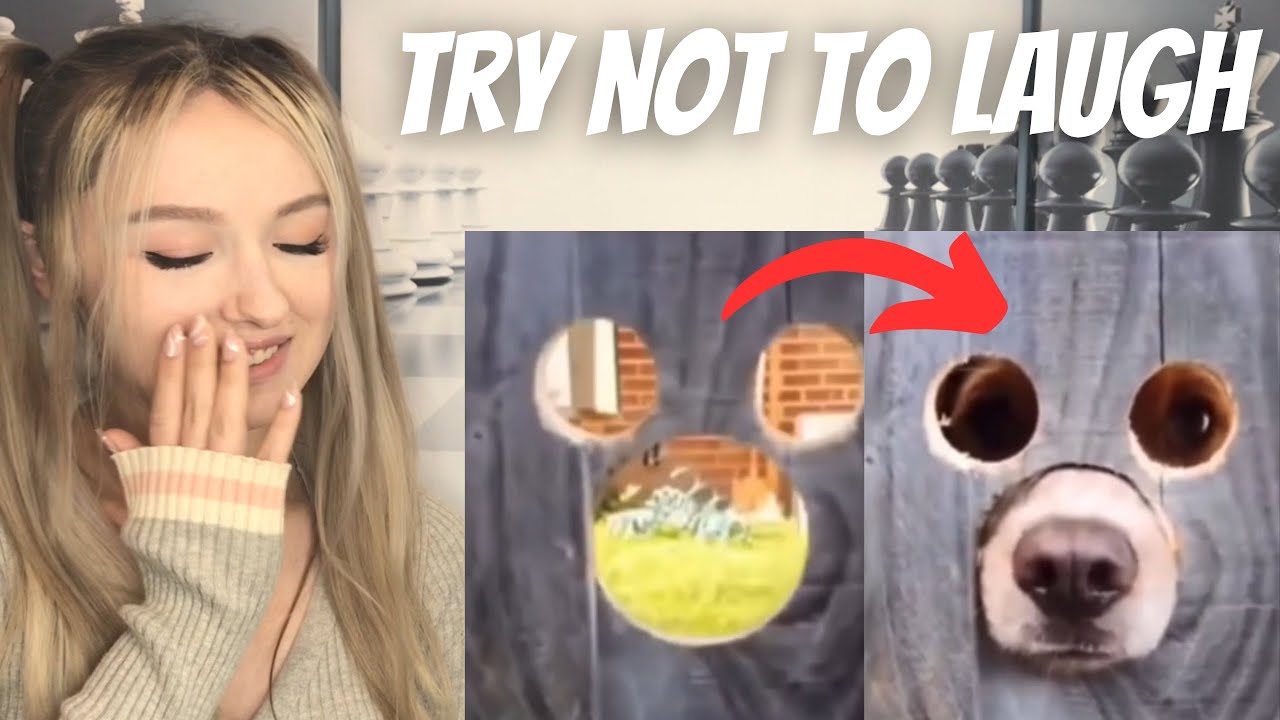 Try Not To Laugh CHALLENGE - Funny Clips REACTION!!!