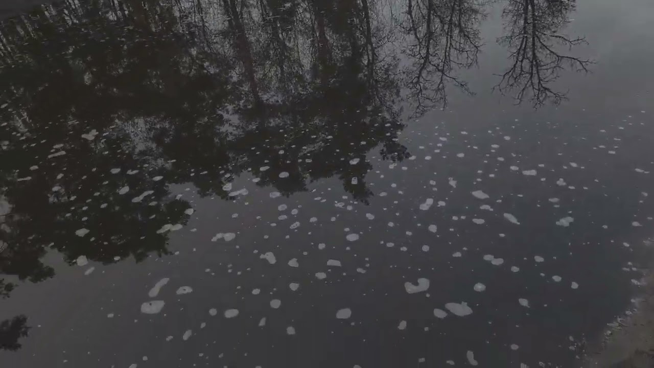 Błotne jezioro na ul. Pod Lasem w Łaszczynie 15.01.2026