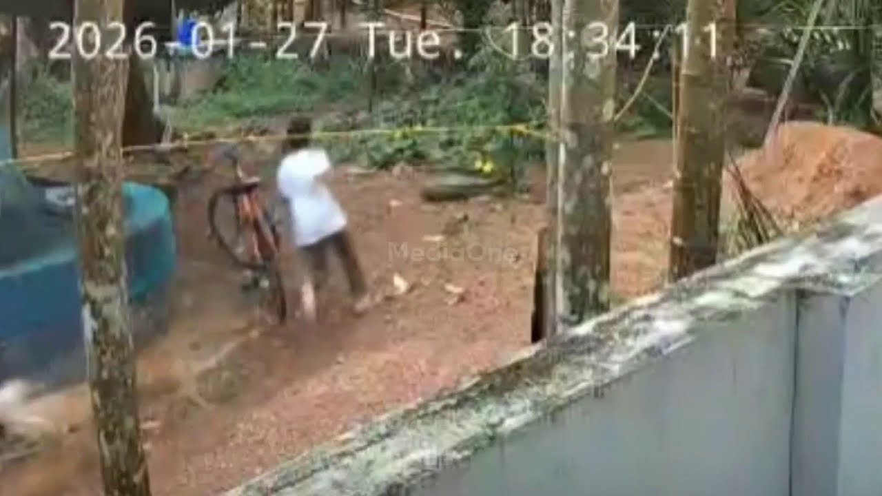 കണ്ണൂരിൽ കുട്ടിക്ക് നേരെ പാഞ്ഞെടുത്ത് തെരുവ് നായ...  ദൃശ്യങ്ങൾ...