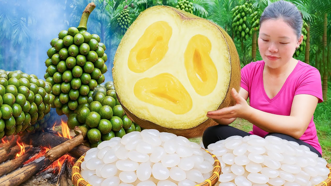 How to harvest the rarest fruit seeds in Vietnam to sell at the market, take care of ducks