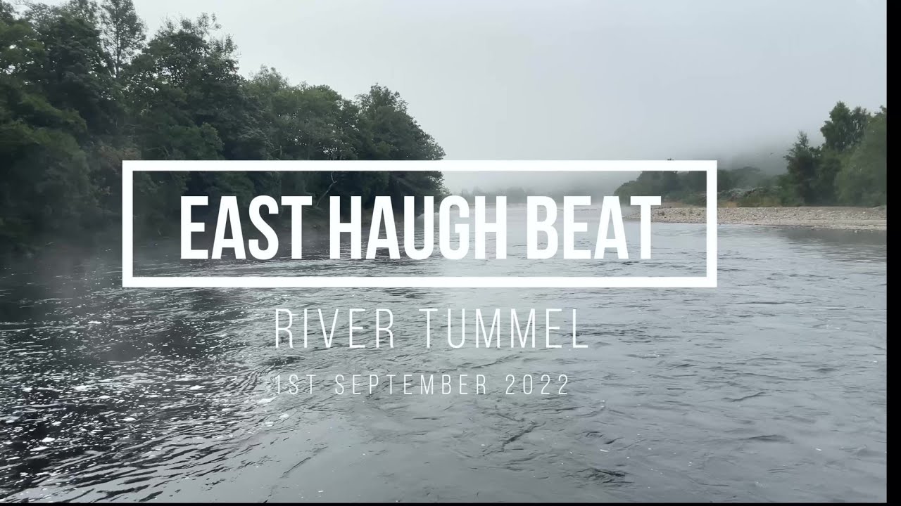 East Haugh, 1stSep22