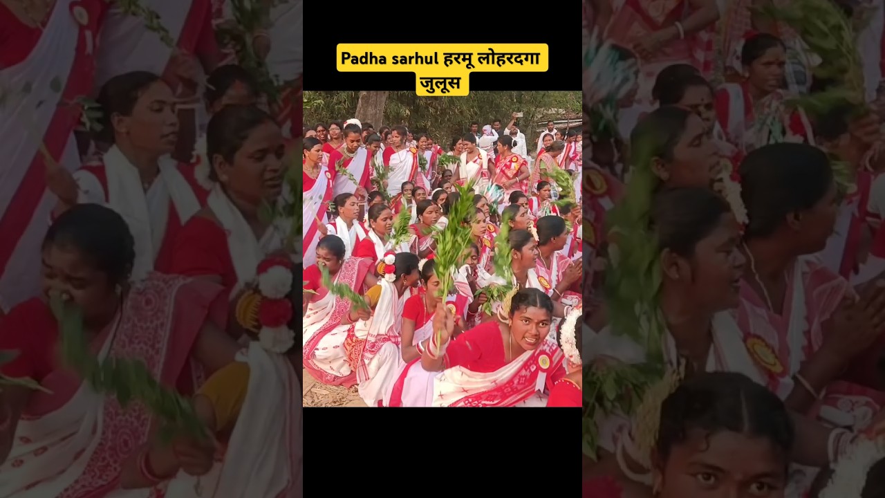 sarhul julus harmu lohardaga #youtubeshorts #shorts #dance #julush @bhimoraonvlogs