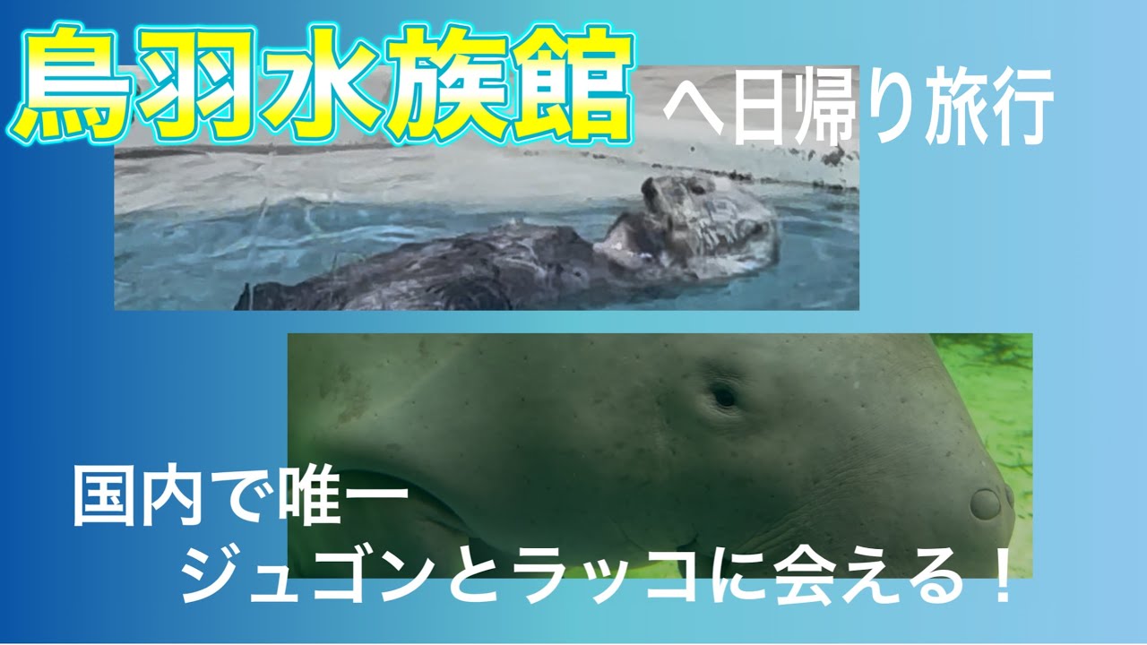 【三重県鳥羽】大きな海老フライを食べて鳥羽水族館へ！