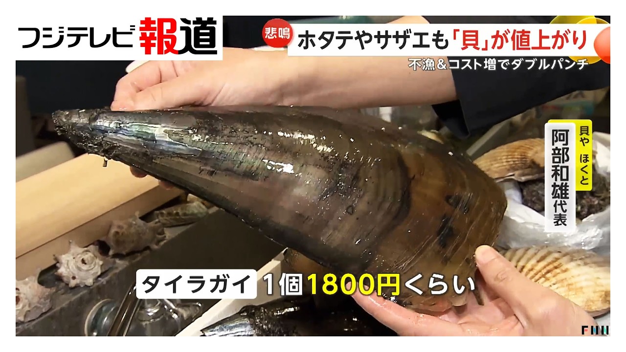 ホタテやサザエなど「貝」が値上がり　不漁・コスト増の“ダブルパンチ”浜焼き店も苦渋の値上げ（2026年03月06日）