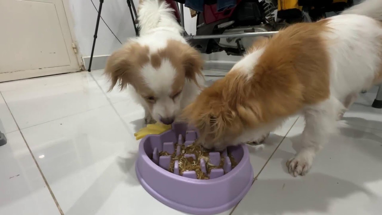 Ending hunger with love