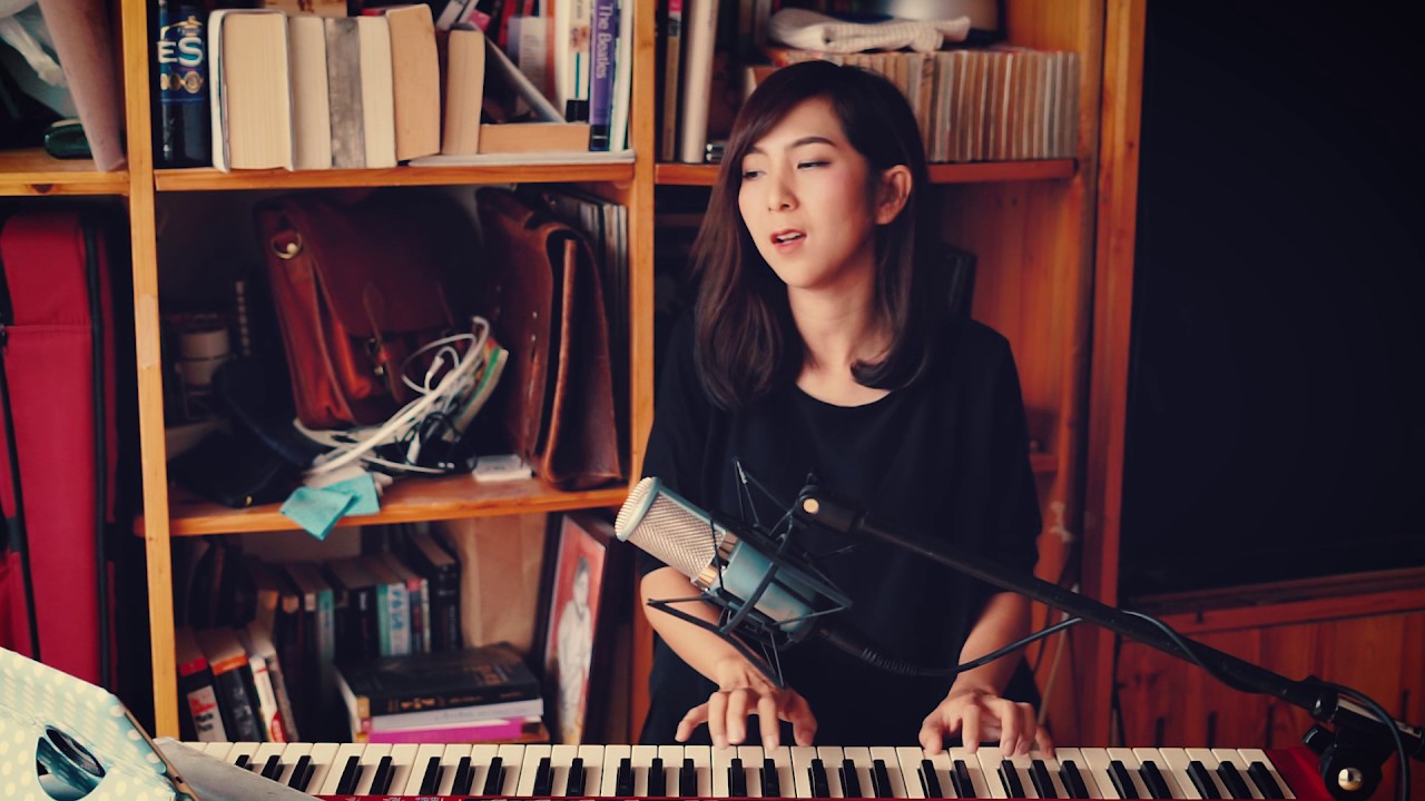 Fly me to the moon - Cover / Pucco