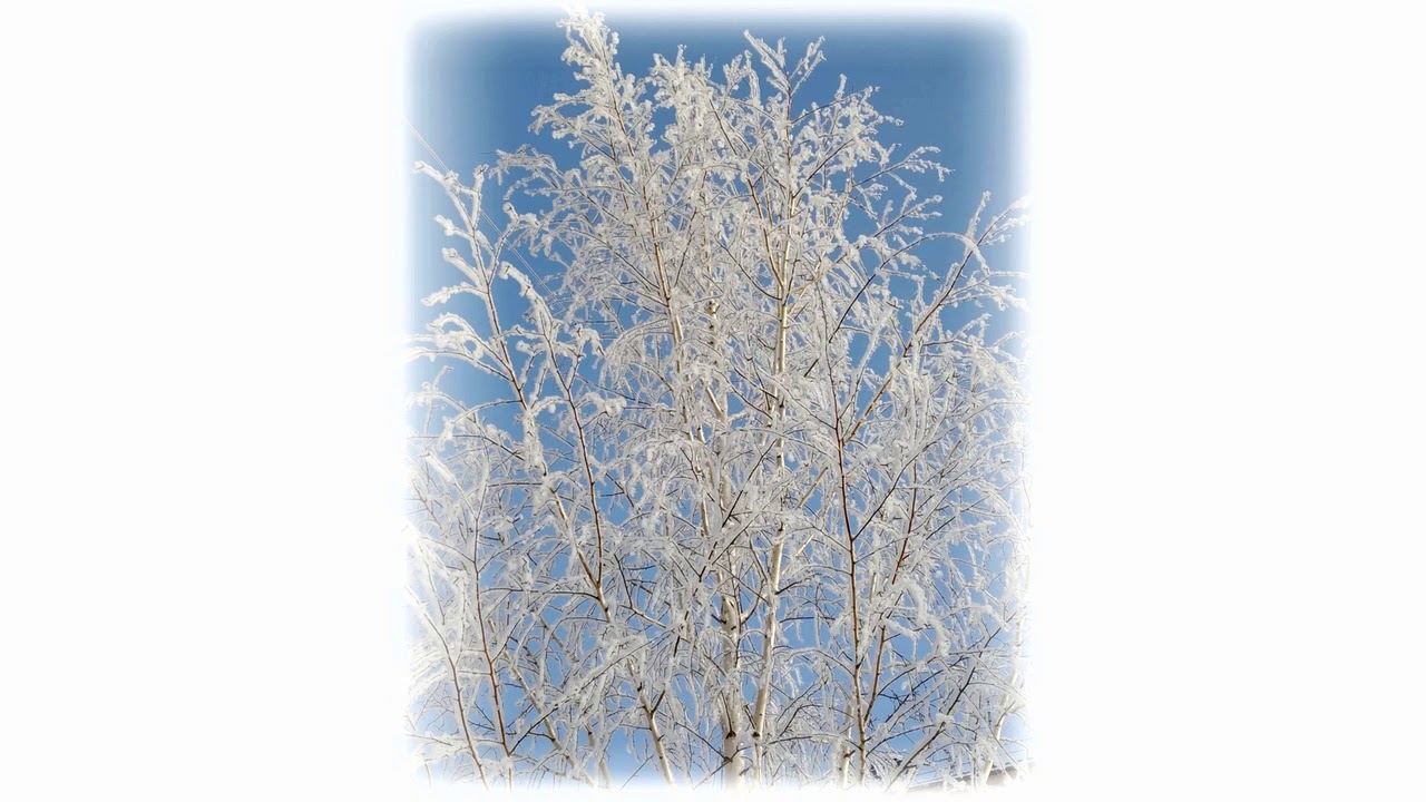 Samuel Barber:  Must the winter come so soon: Vera Senkovskaia