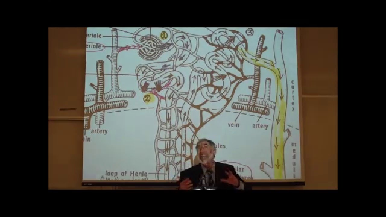 PHARMACOKINETICS; Metabolism & Excretion by Professor Fink
