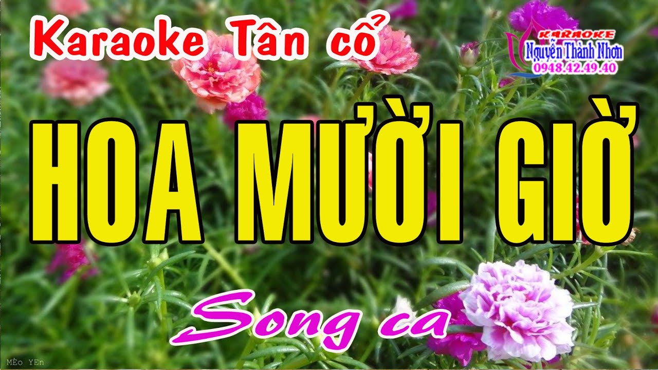 Karaoke tân cổ HOA MƯỜI GIỜ - SONG CA [ Tài Bữu Bữu - Lệ thu ] Tân cổ trước 75