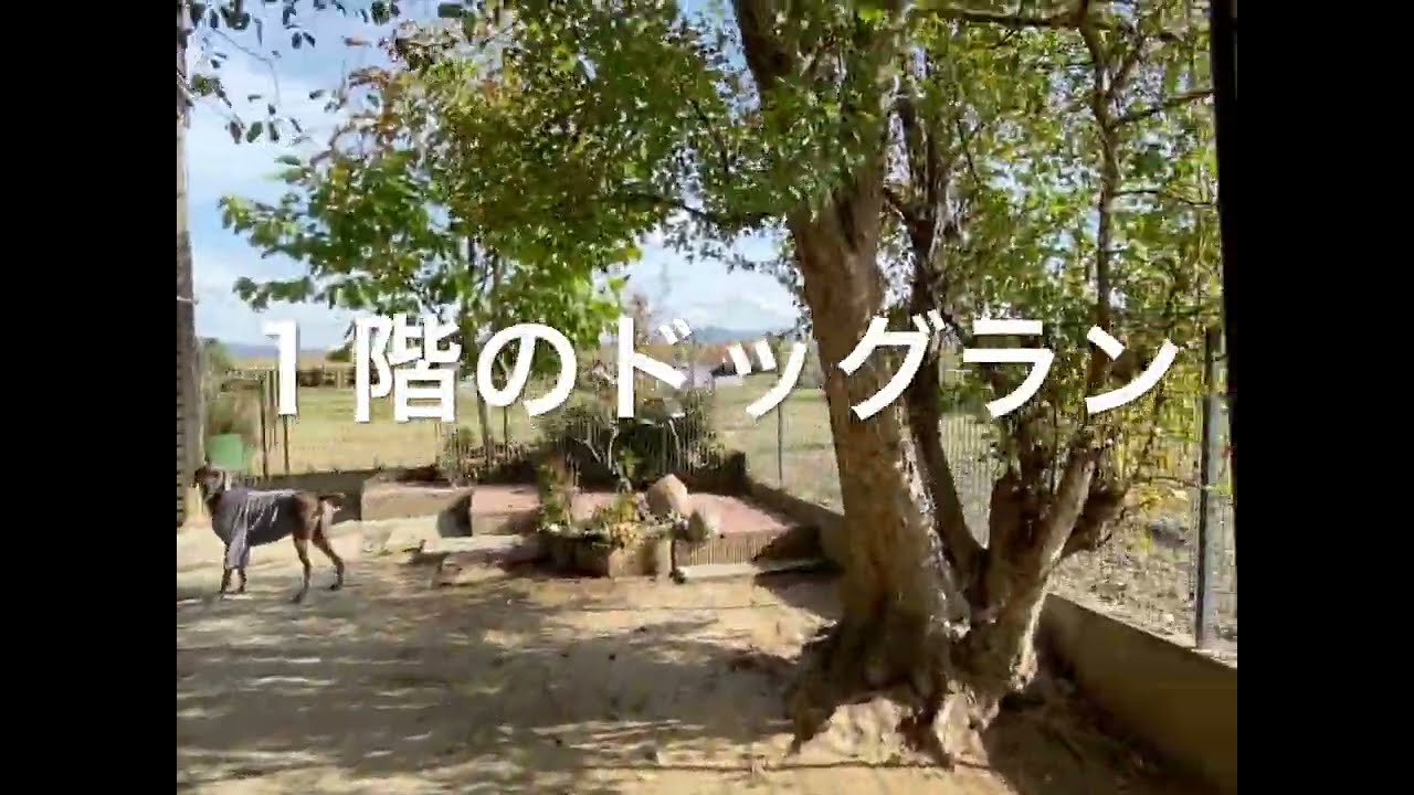 shippofamily紹介①お庭ドッグラン紹介