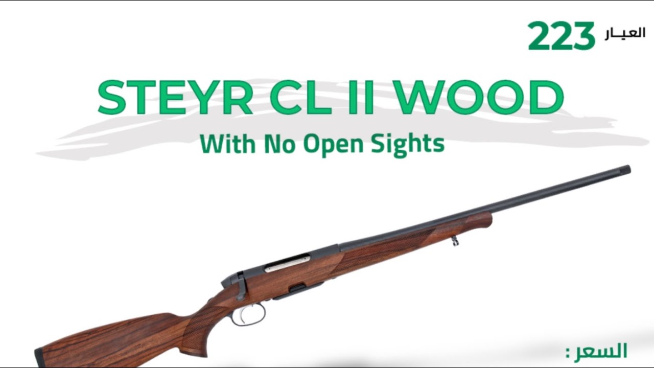 شتاير سي إل ٢  عيار ٢٢٣ سقستين