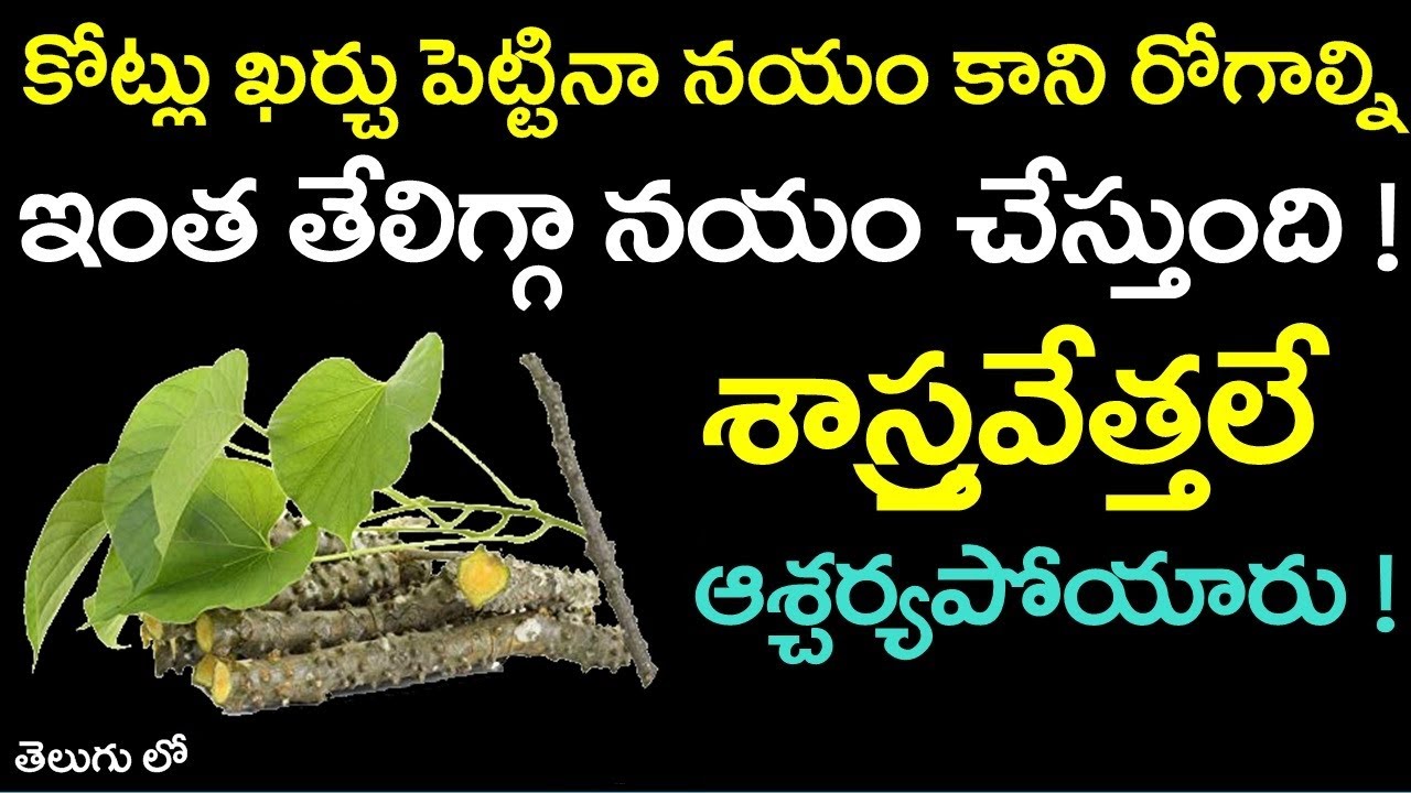 కోట్లు ఖర్చుపెట్టినా నయంకాని రోగాలనుఇంత తేలిగ్గా నయం చేస్తుంది ! || Uses of tippa teega