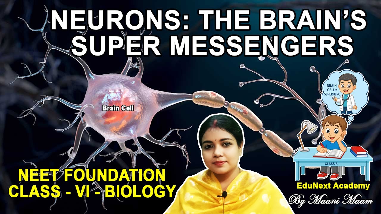 What Are Neurons? 🧠 Brain Cells Explained for Class 6 to 9 Science | #NEET FOUNDATION | #supercell
