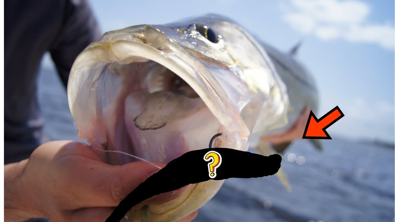 The Best Beginner Lures for Saltwater Fishing