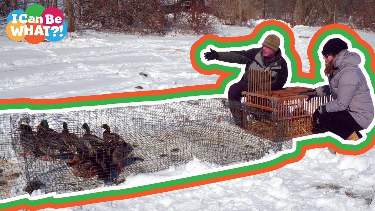 I Can Be What?! | Wildlife Technician