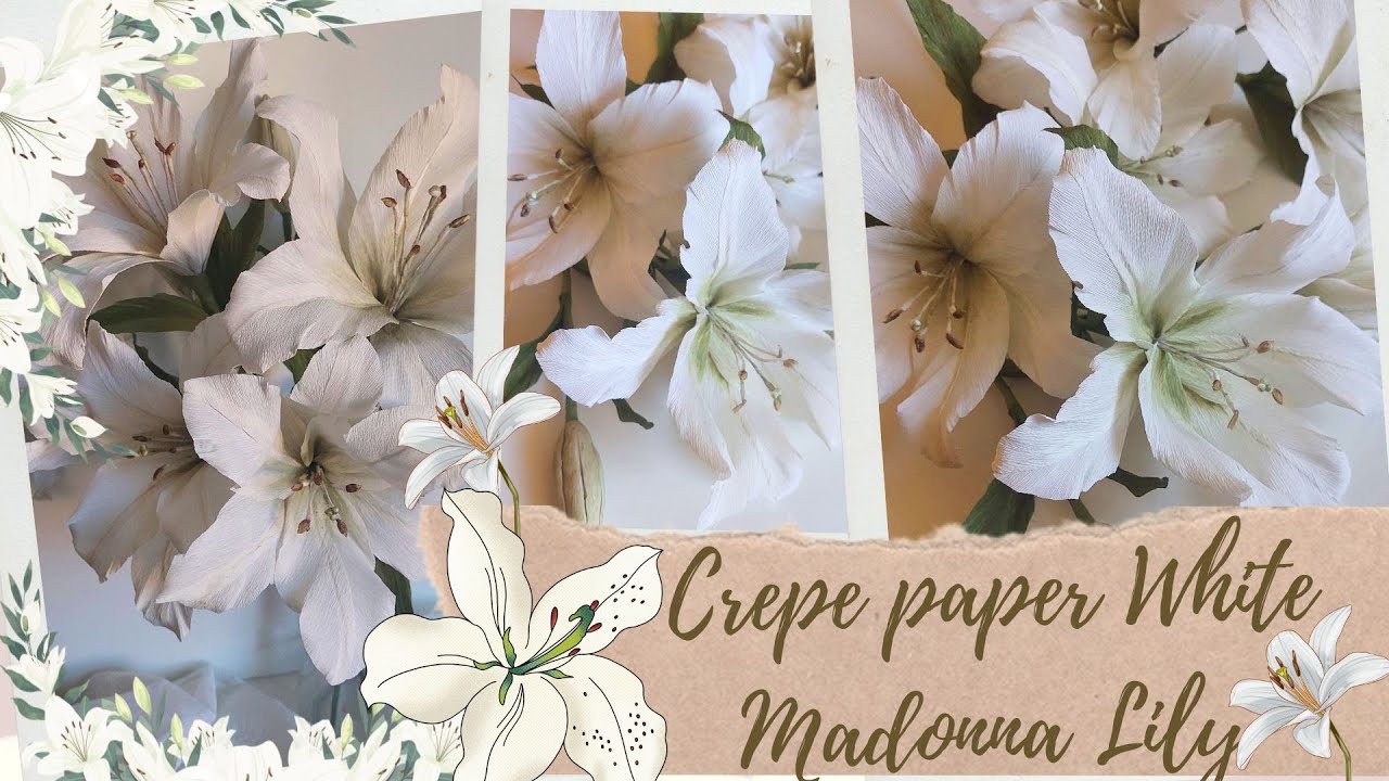 Crepe paper White Madonna Lily