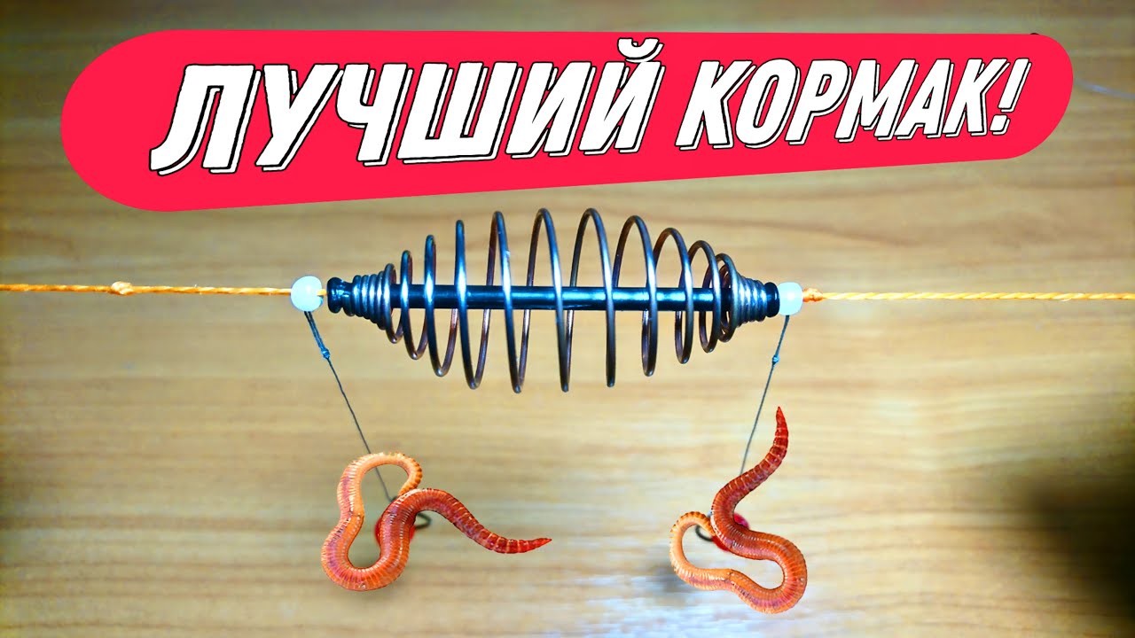 ЭТОТ КОРМАК 100% ЛУЧШЕ чем 