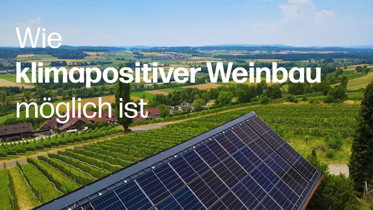 Der Weg zu klimapositiver Weinproduktion – Das Delinat-Weingut Lenz zeigt, wie es möglich ist