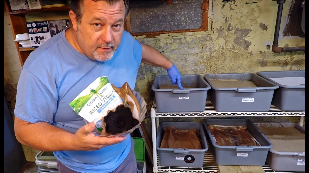 African nightcrawler bins at 150 days (foraging) & 32 days (composting) - worm farm vermicompost