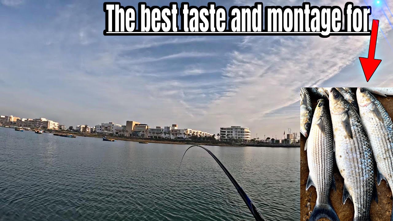 تجربت عجينة الخبز في واد أبي رقراق ، بأفضل مونتاج لصيد البوري 🎣 Mullet fishing